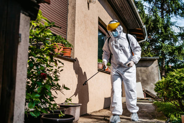 Best Pest Control for Homes  in Dresden, TN